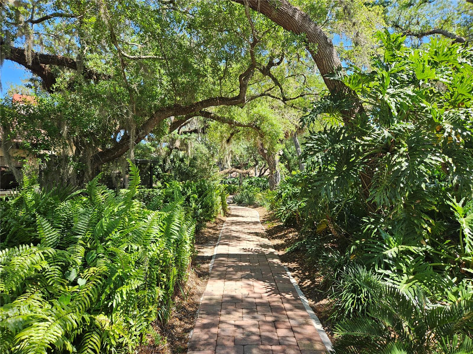 HAMMOCKS IV - Residential