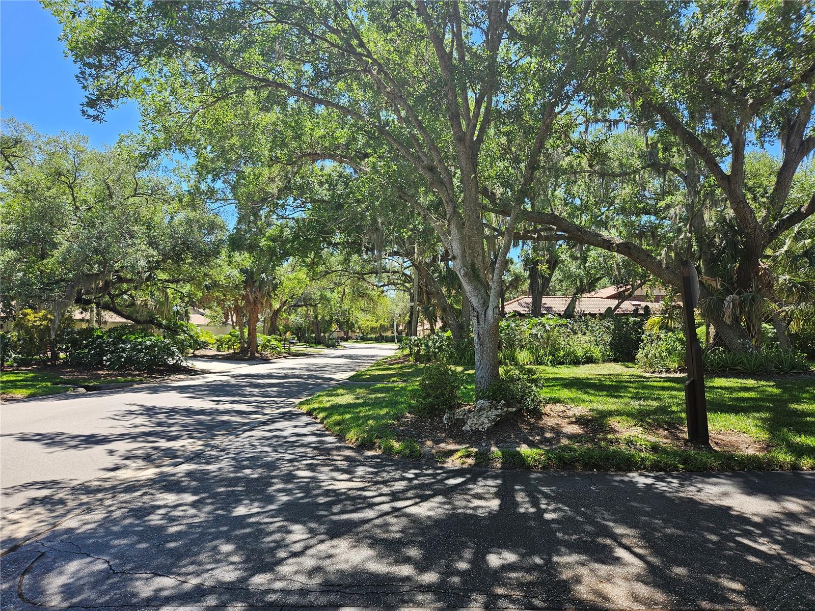 HAMMOCKS IV - Residential