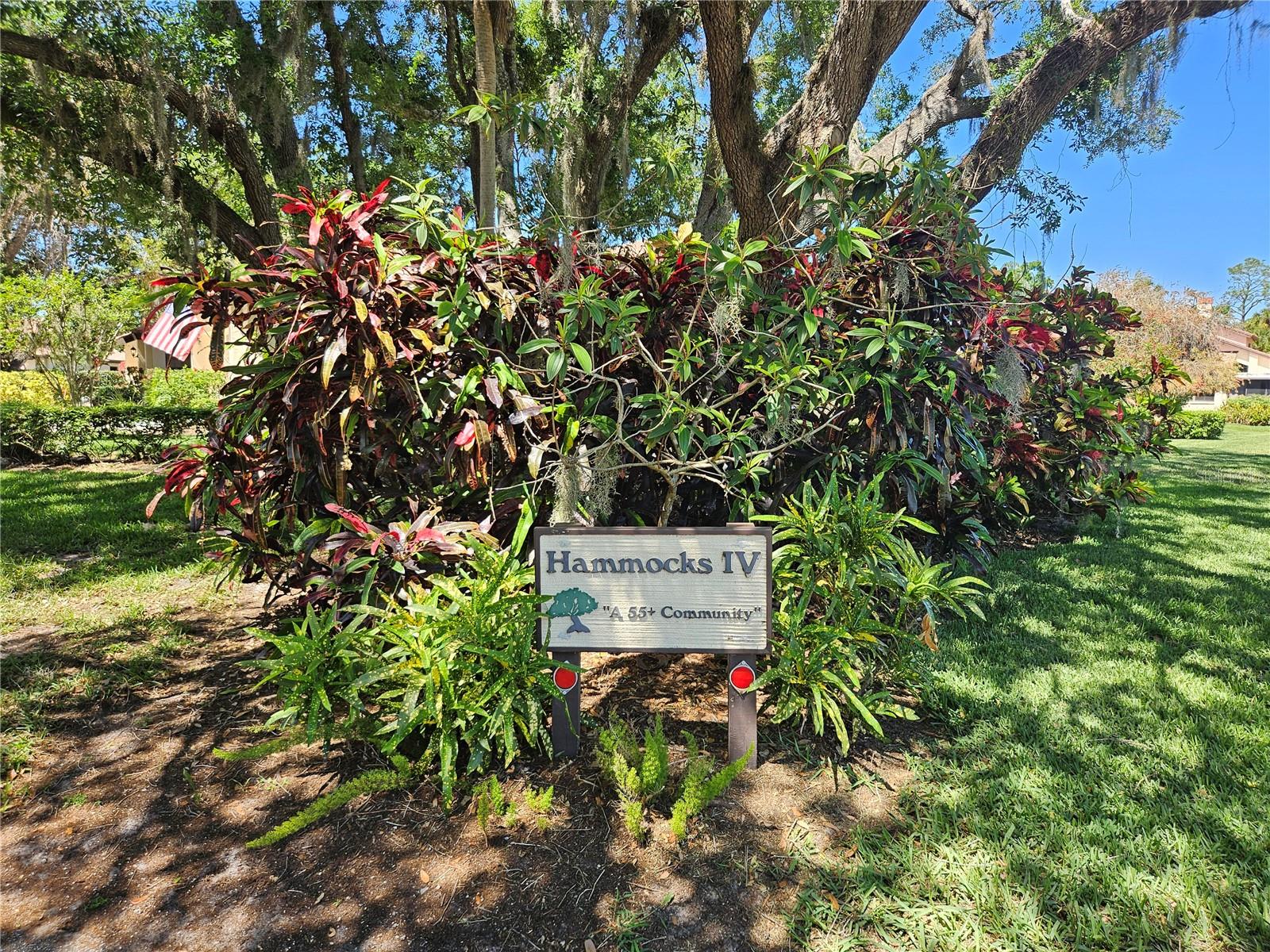 HAMMOCKS IV - Residential