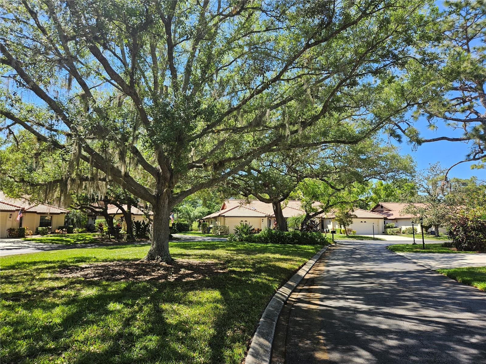 HAMMOCKS IV - Residential