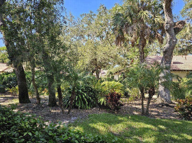 HAMMOCKS IV - Residential