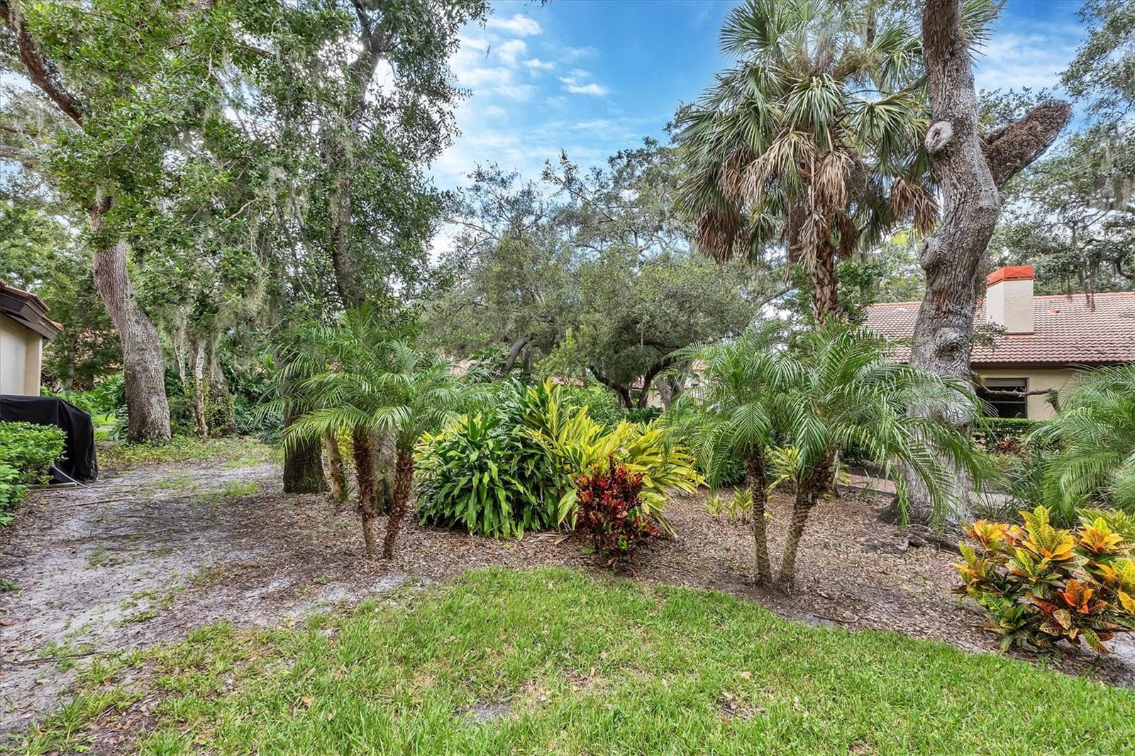 HAMMOCKS IV - Residential