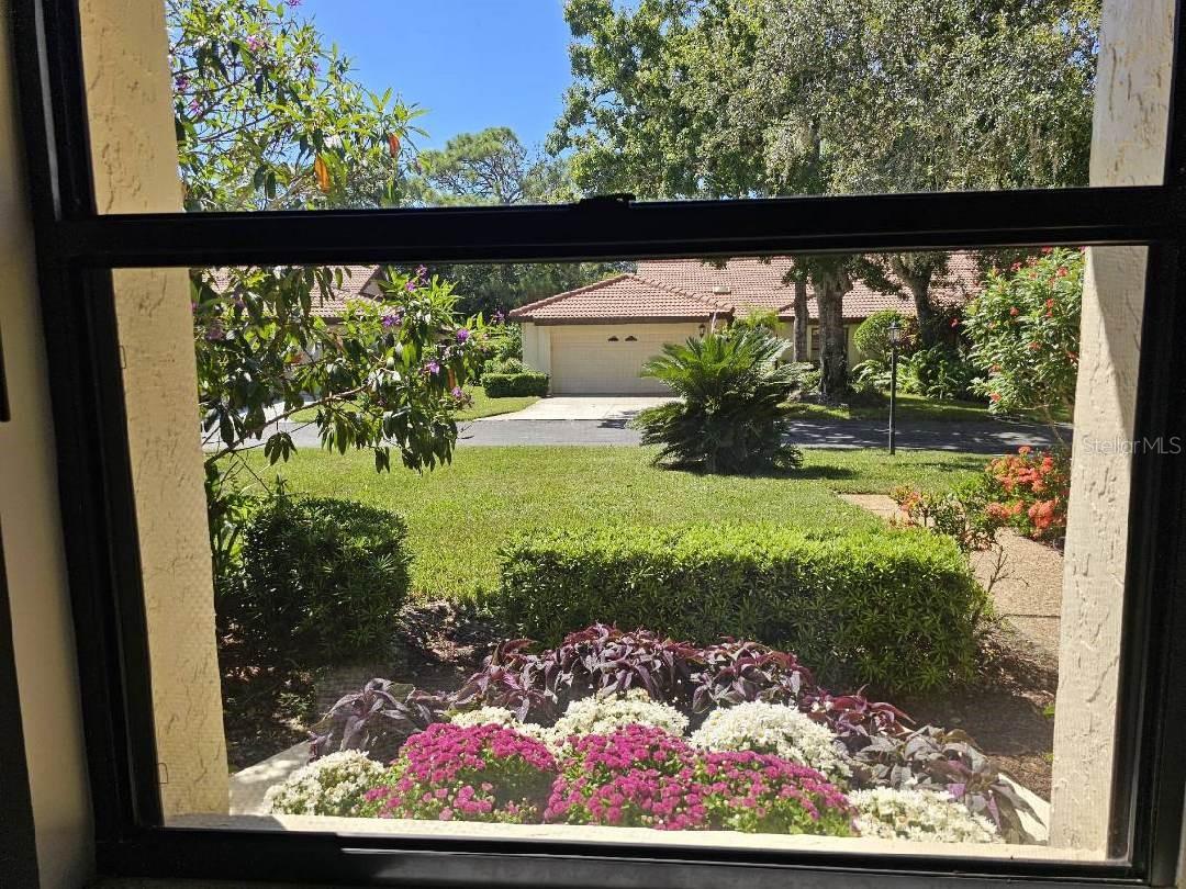 HAMMOCKS IV - Residential