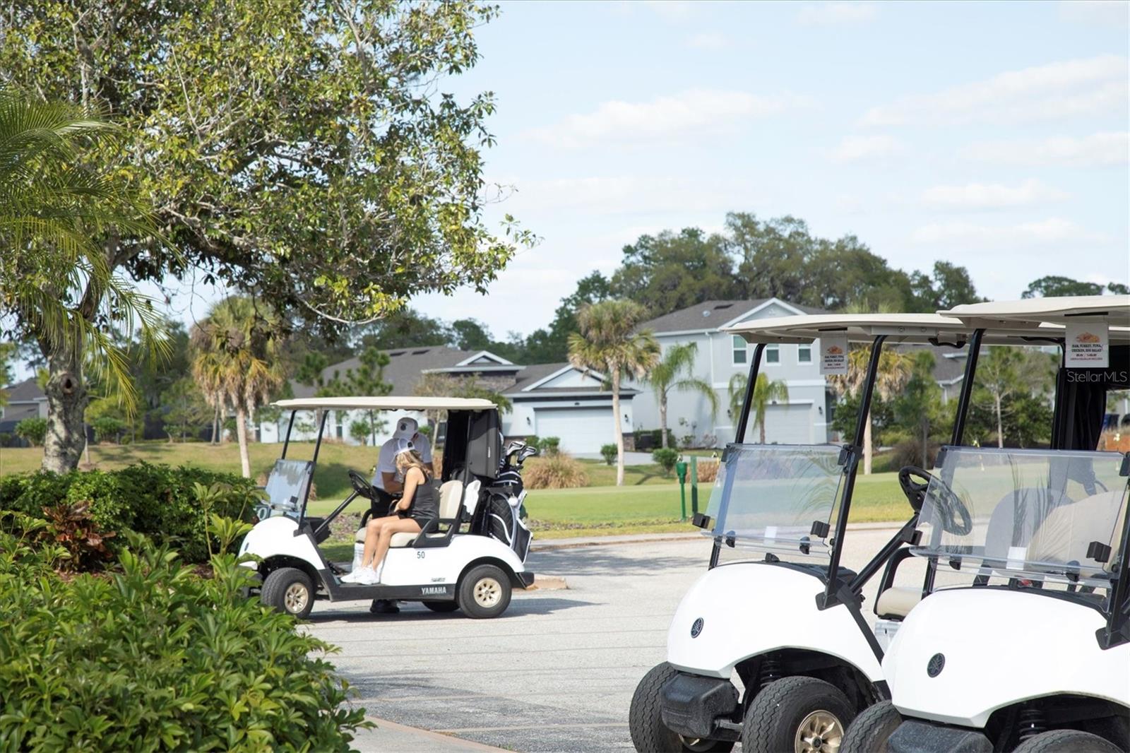 HAMMOCKS IV - Residential