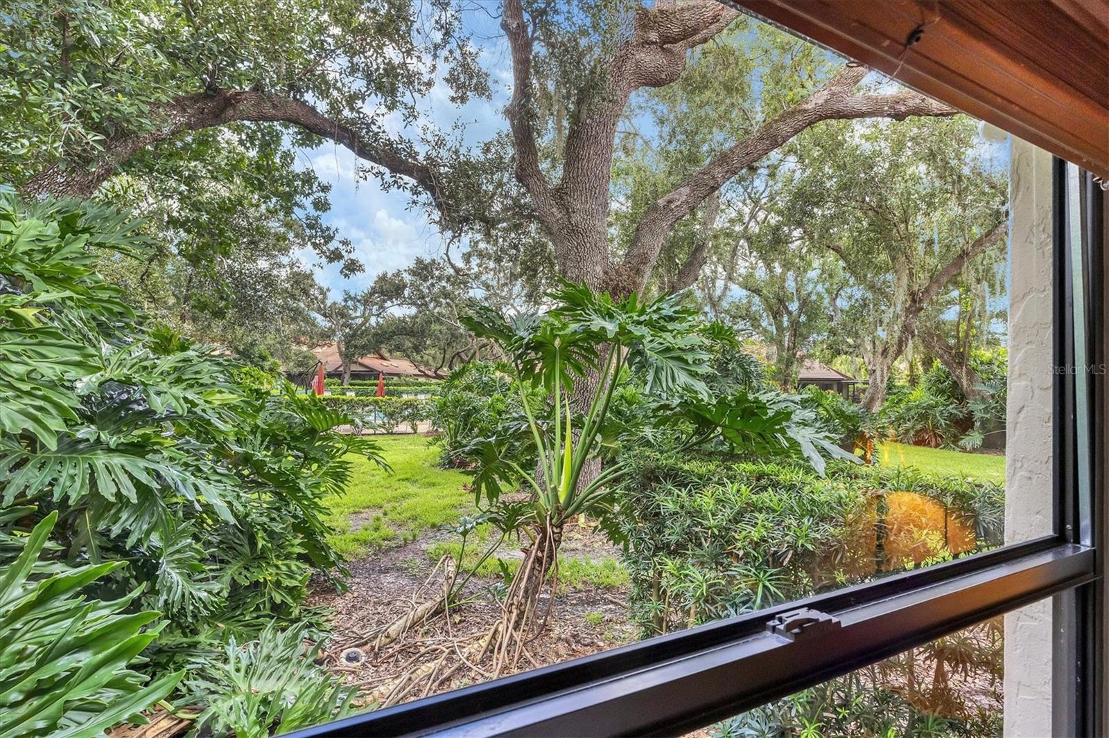 HAMMOCKS IV - Residential