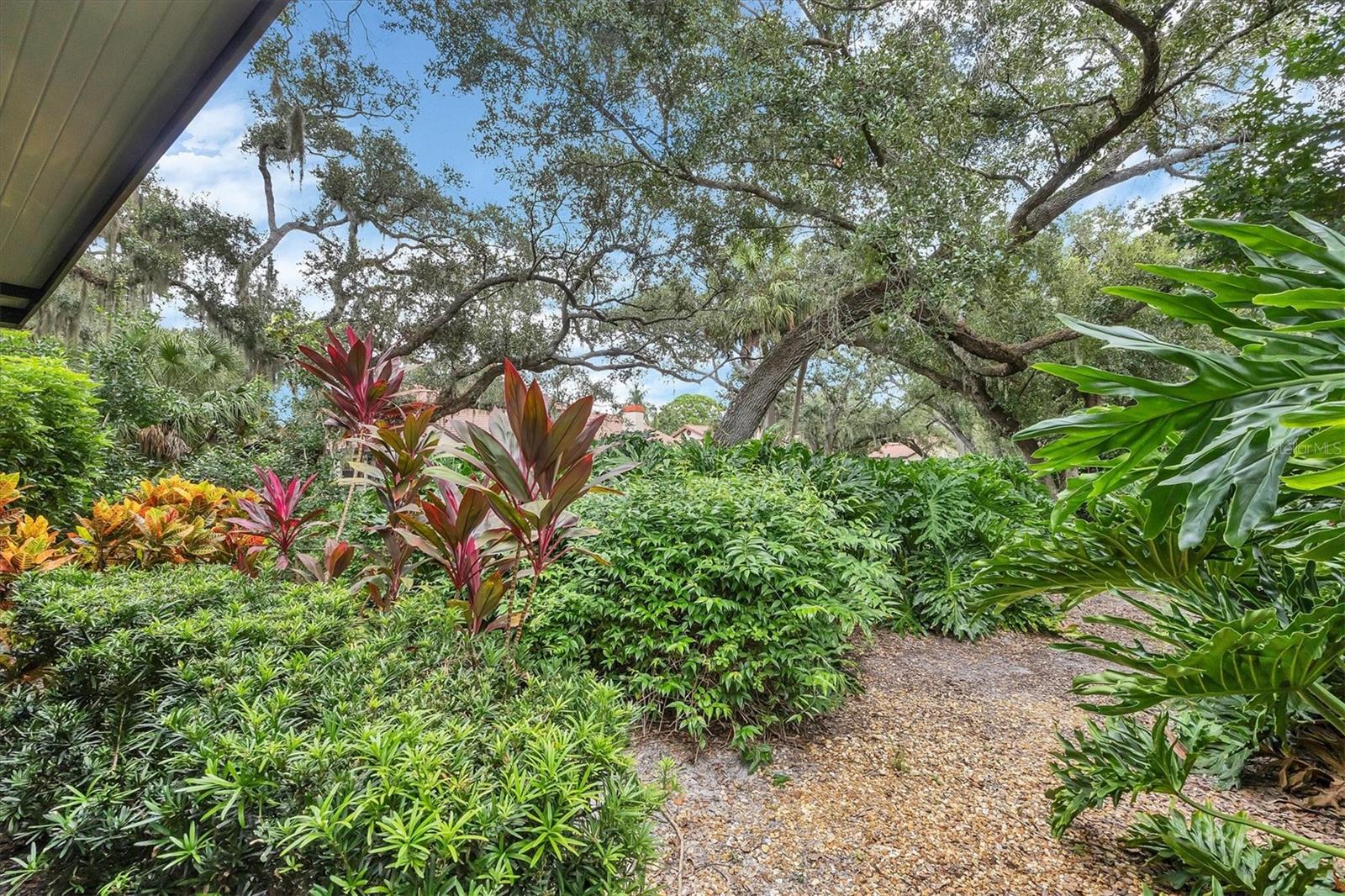 HAMMOCKS IV - Residential