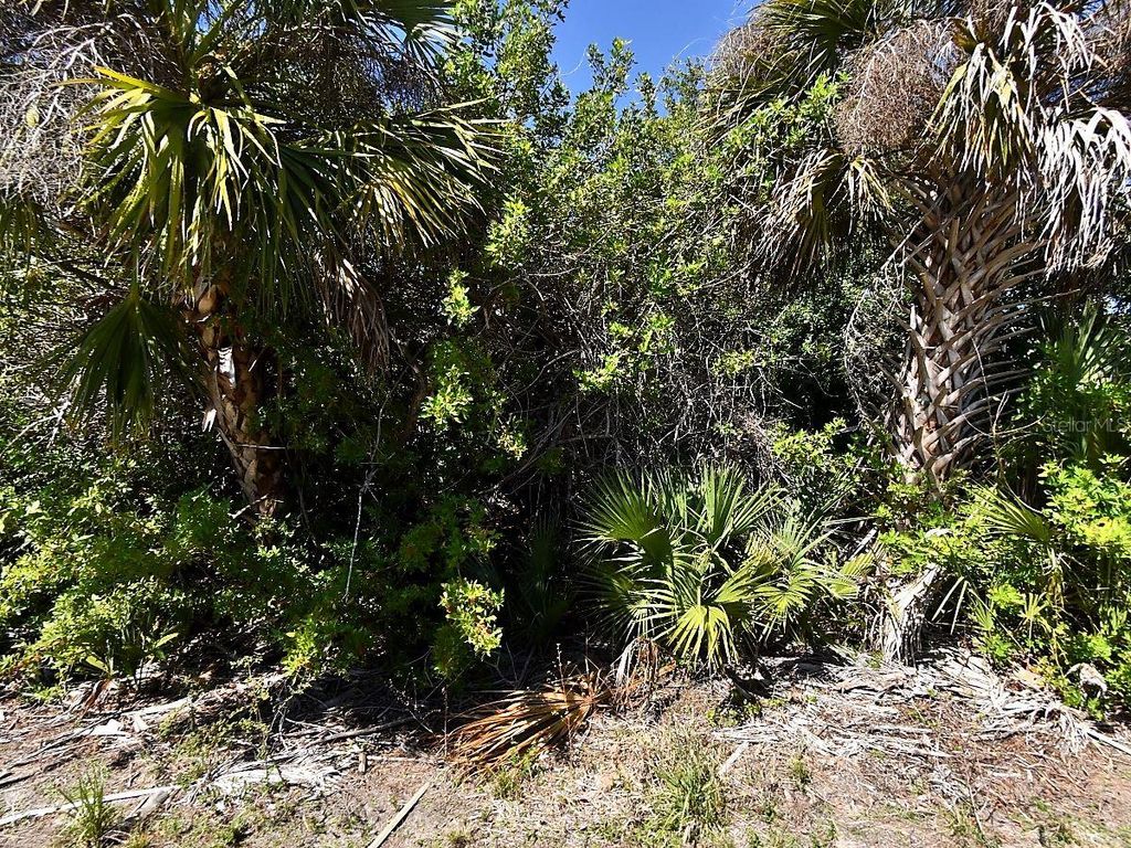 Photo of Wheeling Avenue, North Port, FL 34288 (MLS # C7528311)