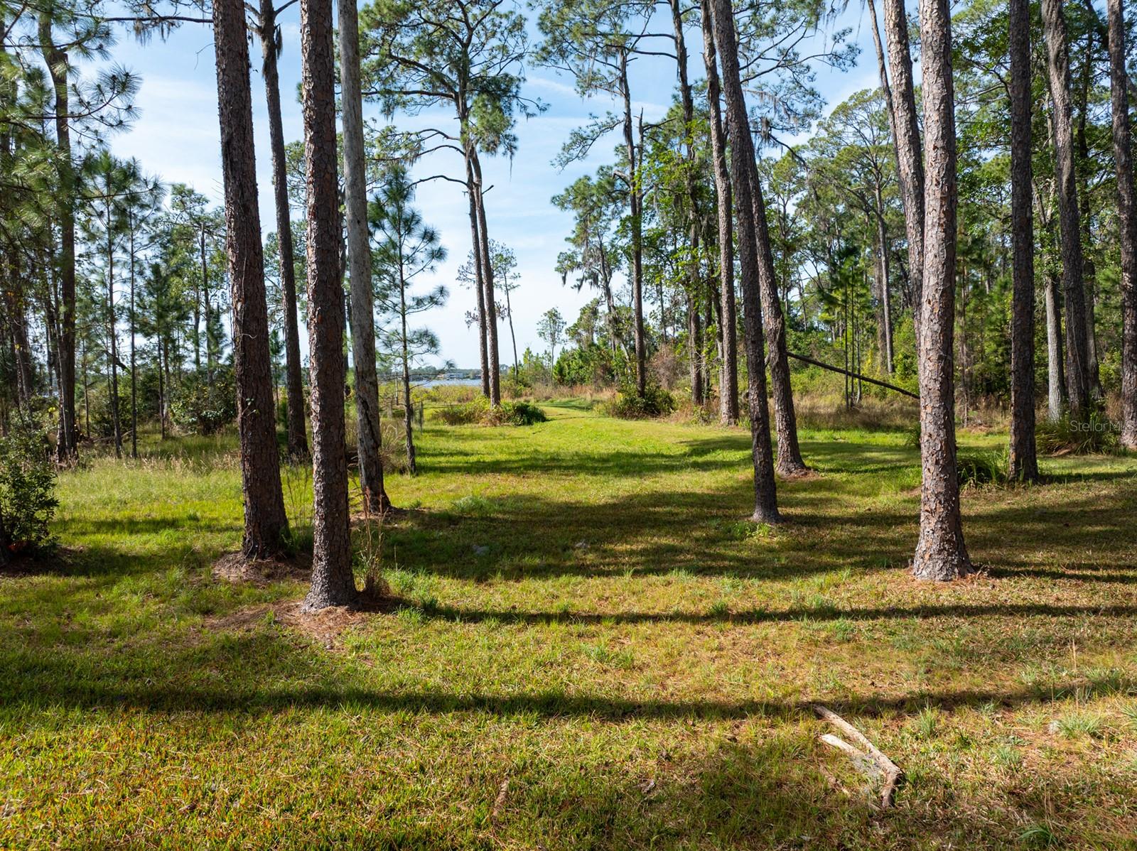 ROYAL RANCH ESTATES - Land