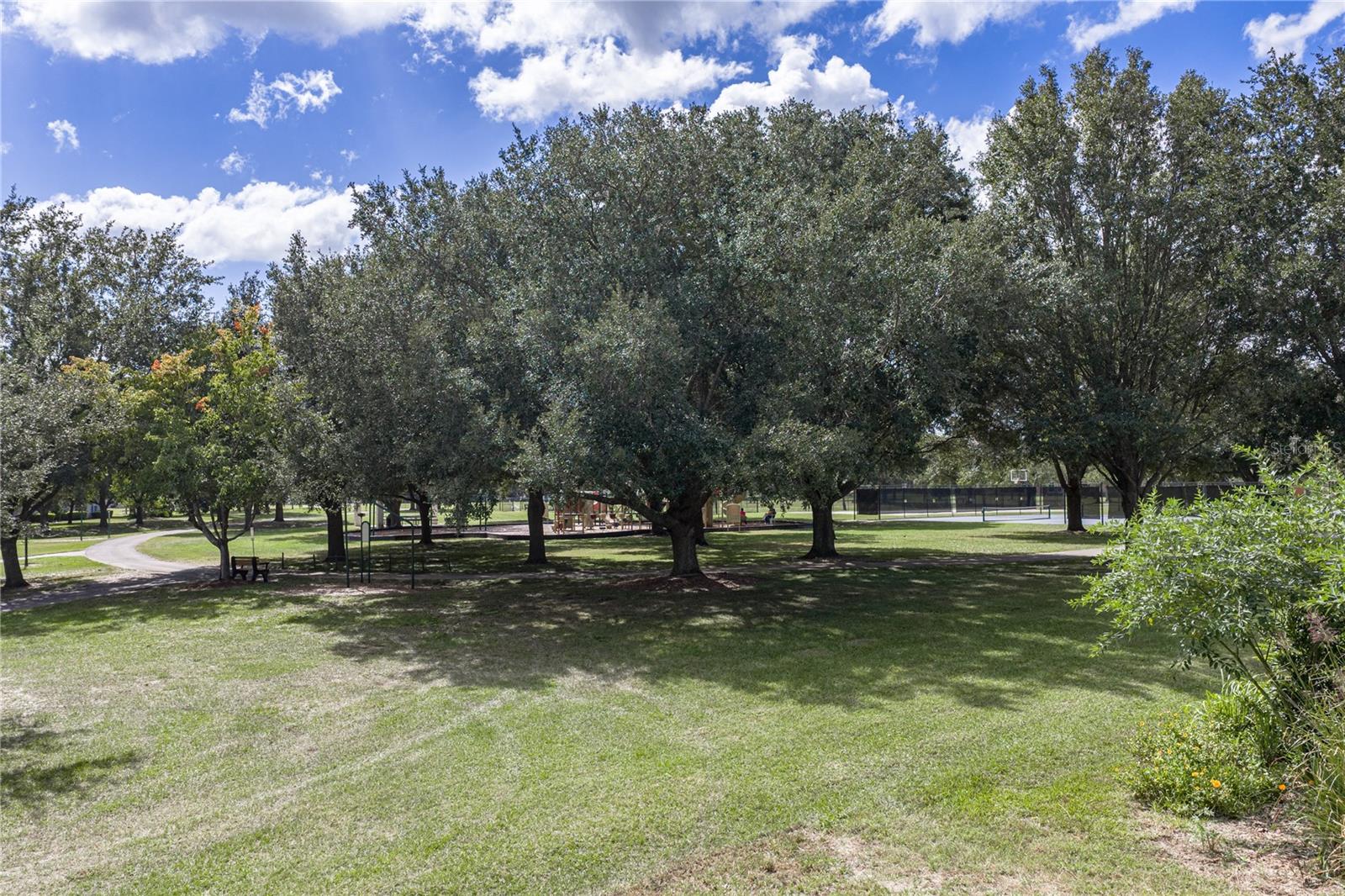 14194 THOROUGHBRED DRIVE