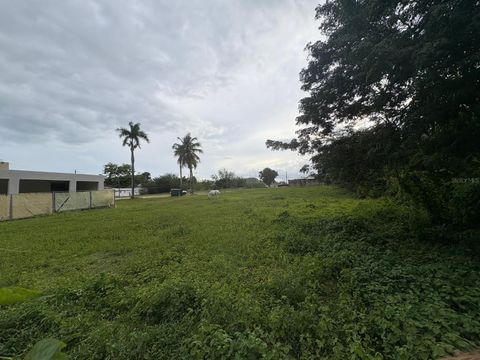 1 JUANA DIAZ JUANA DIAZ  00795