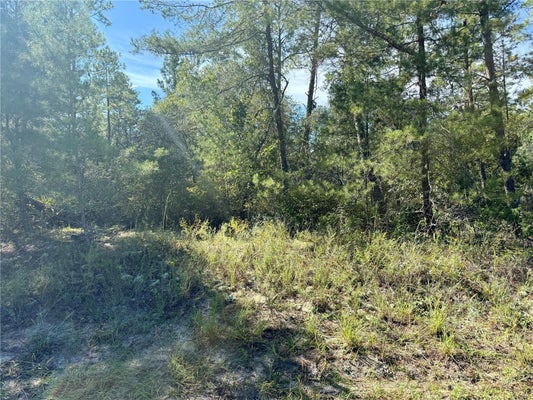 4419 W MALALUKA CIR, CITRUS SPRINGS, FL 34433 - Image f5f0f31991a1a69df085765efdda0d60/2210909532