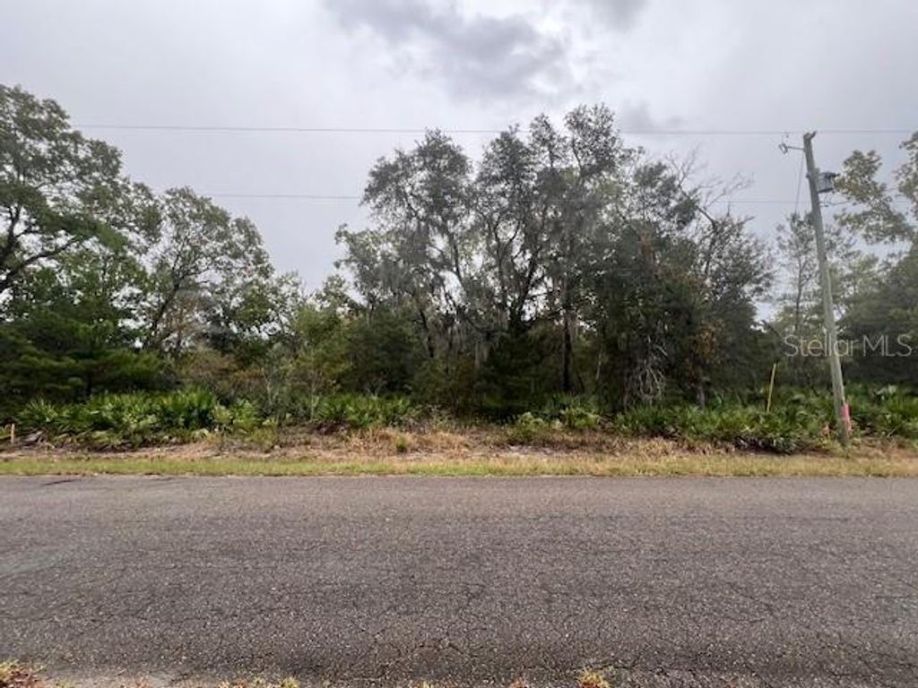 Photo of Tbd Guava Place - Lot 3 Drive, Ocklawaha, FL 32179 (MLS # OM711167)