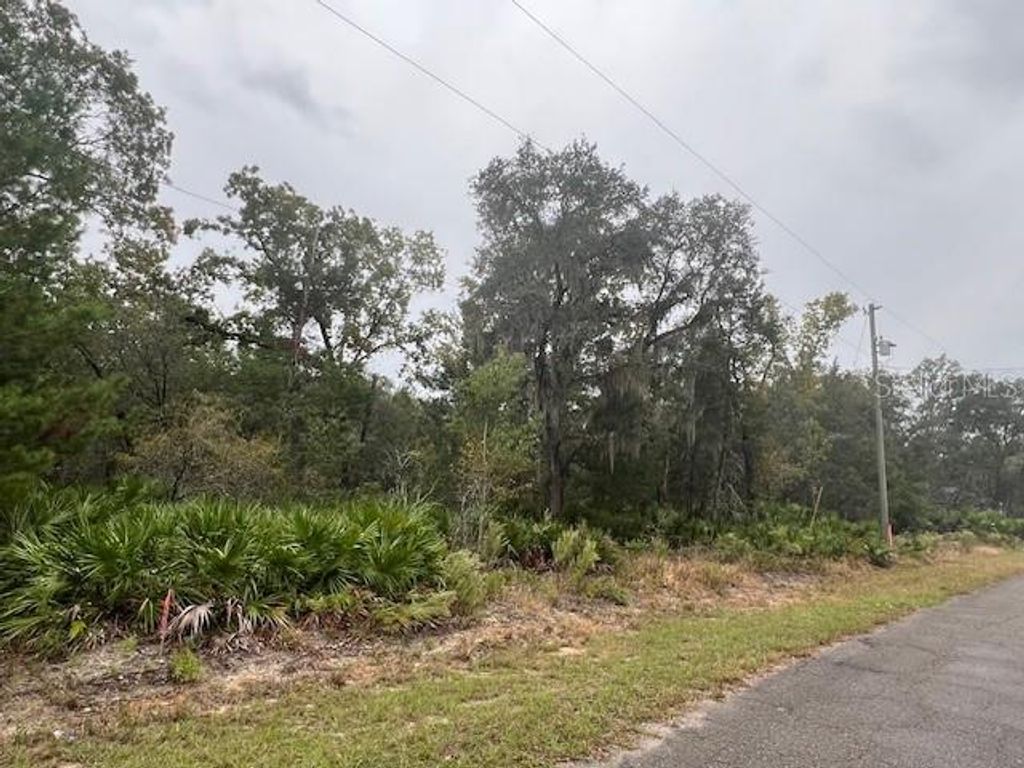 Photo of Tbd Guava Place - Lot 3 Drive, Ocklawaha, FL 32179 (MLS # OM711167)