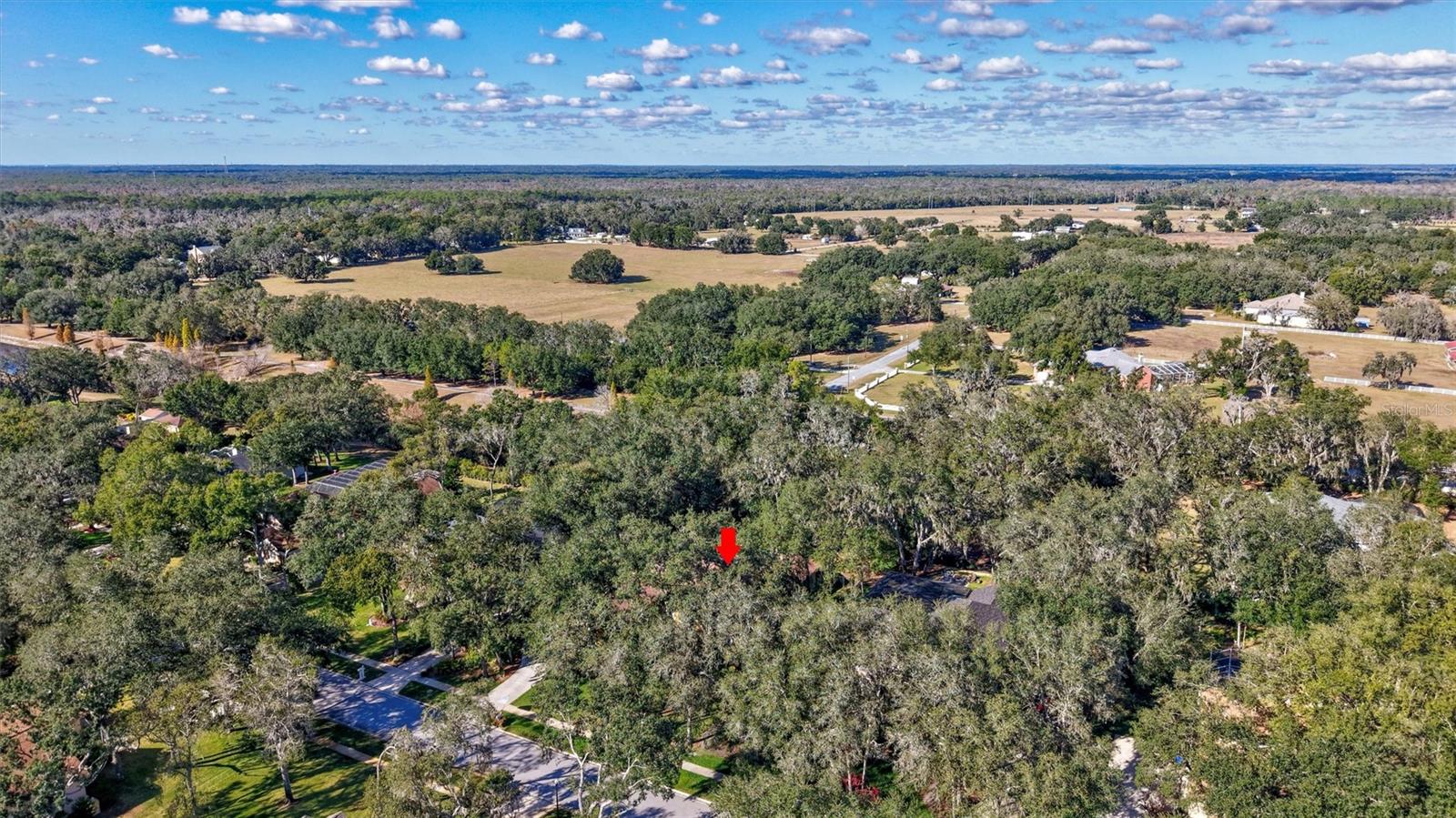 FISH HAWK TRAILS UNIT 3 - Residential