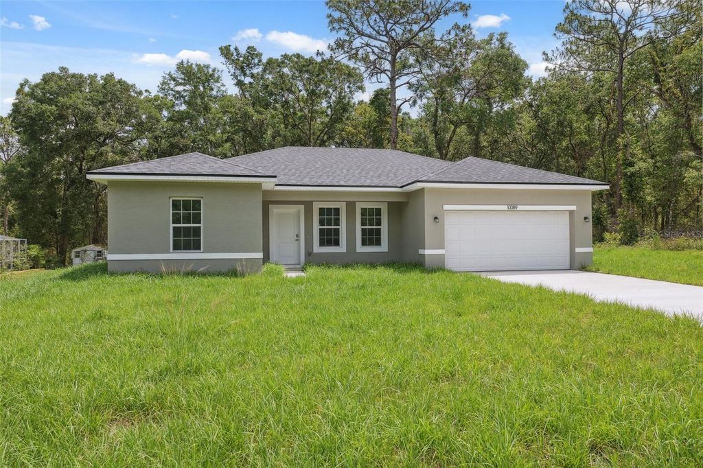 Photo of 10089 N Athenia Dr, Citrus Springs, FL 34434 (MLS # O6332724)