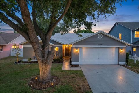Photo of 13509 Fawn Ridge Boulevard, Tampa, FL 33626 (MLS # TB8504419)