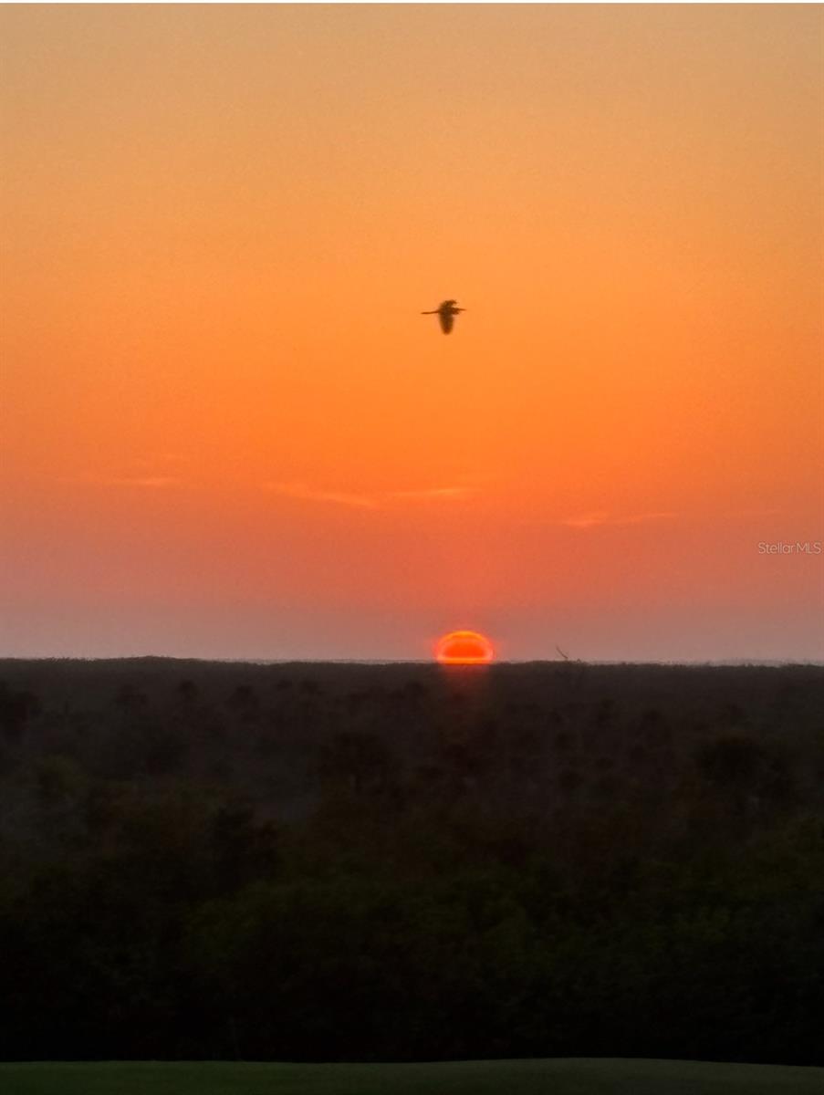 HERITAGE LANDING GOLF & COUNTRY CLUB - Residential