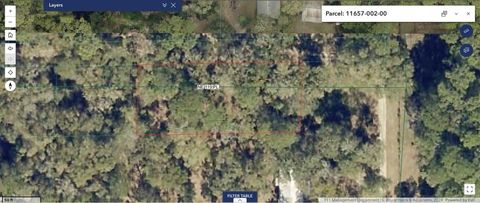 Photo of 23714 NE 119th Place, Salt Springs, FL 32134 (MLS # OM722051)