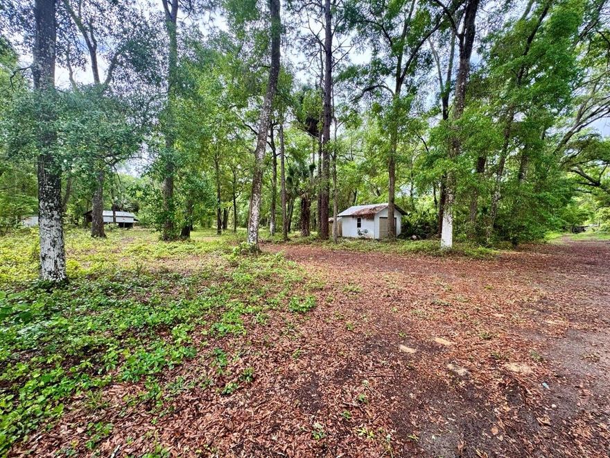 Vacant 0.43ac lot, lightly wooded with a small garage building. Located in beautiful Salt Springs close to public ramps, the springs (Salt Springs, Silver Glen, and Juniper), and miles of ATV/UTV/hiking trails to explore through the Ocala National Forest! In a quiet neighborhood with a tranquil tree canopy.