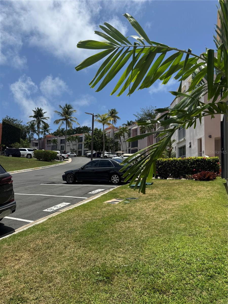 CANDELERO ABAJO - Residential