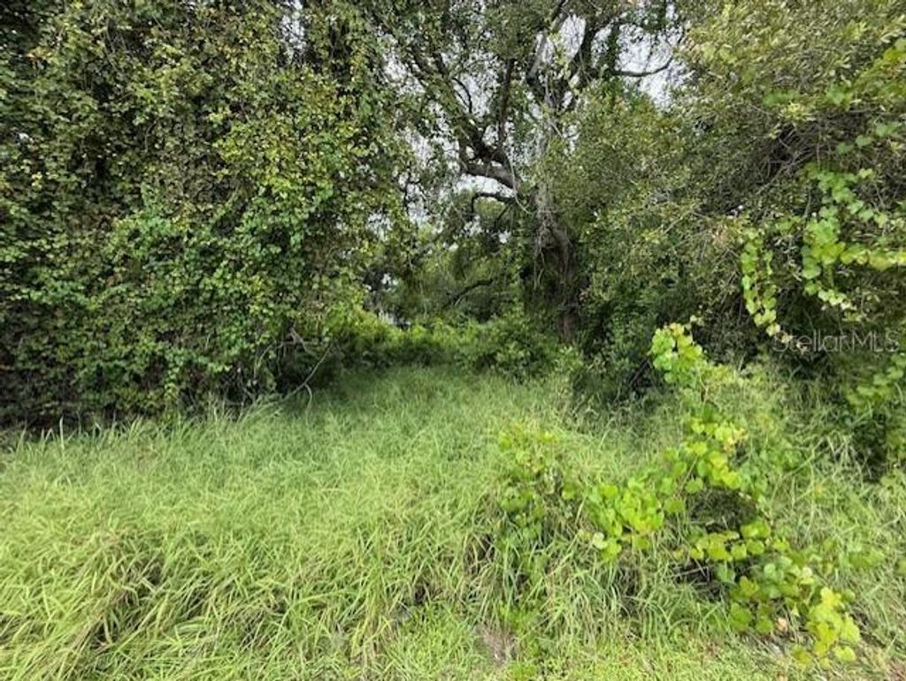 Photo of 10th Street S, Haines City, FL 33844 (MLS # O6343784)