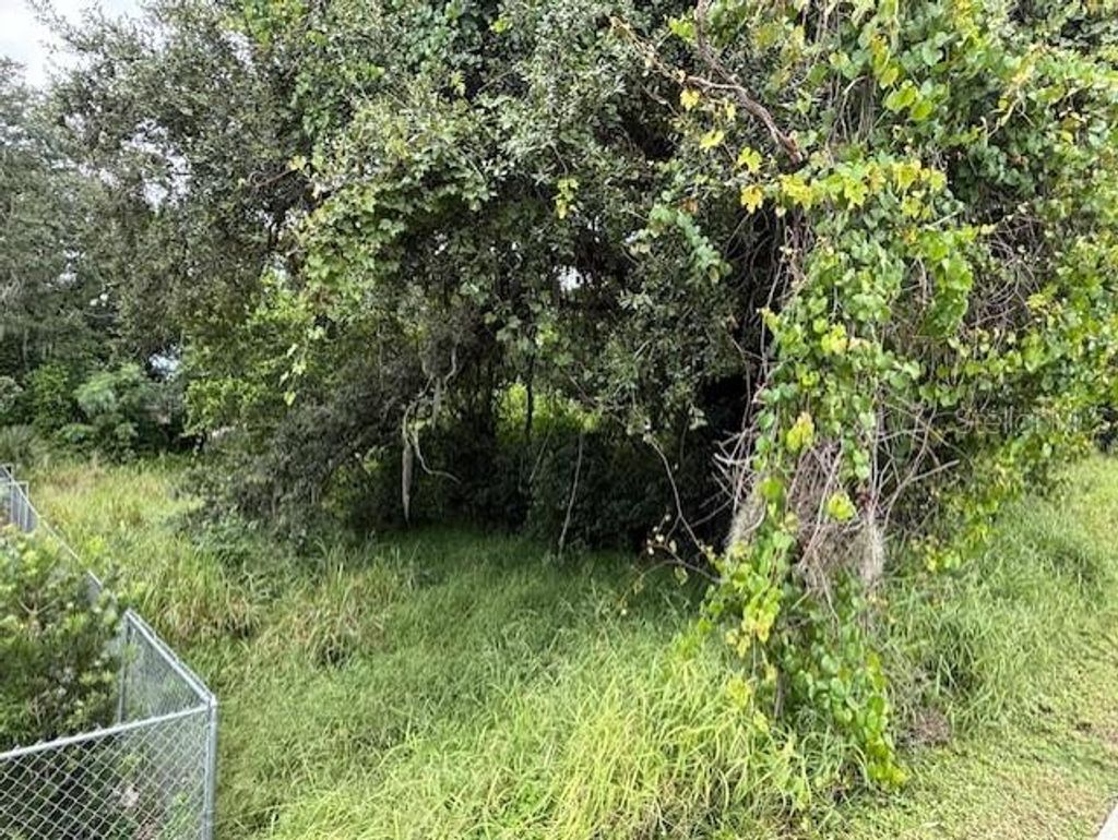 Photo of 10th Street S, Haines City, FL 33844 (MLS # O6343784)