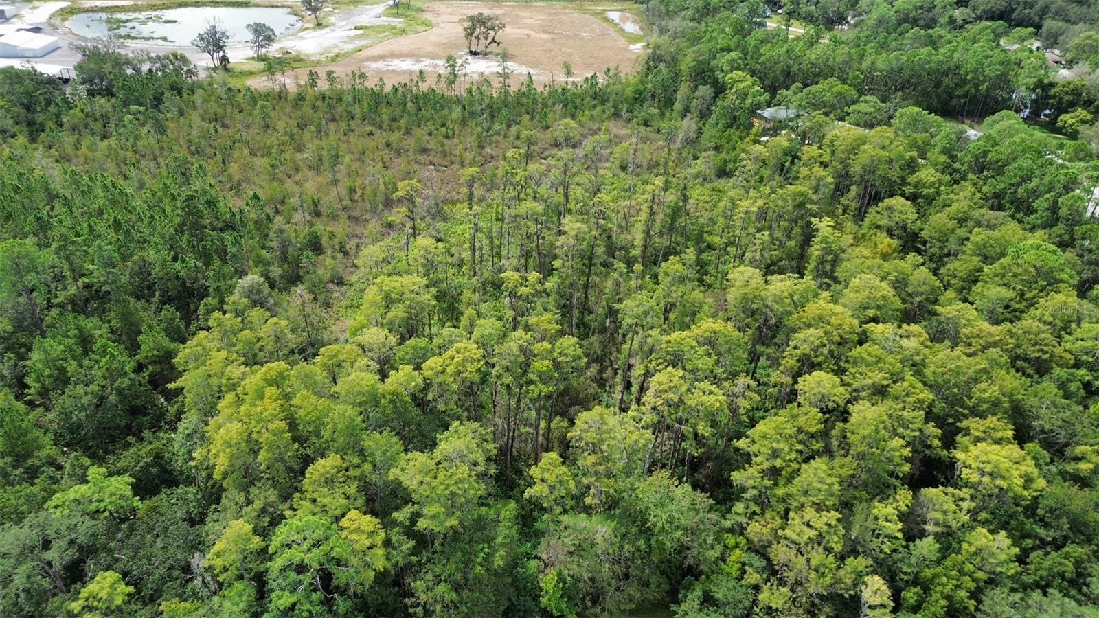 EUSTIS PINE MEADOWS COUNTRY CLUB ESTATES - Land