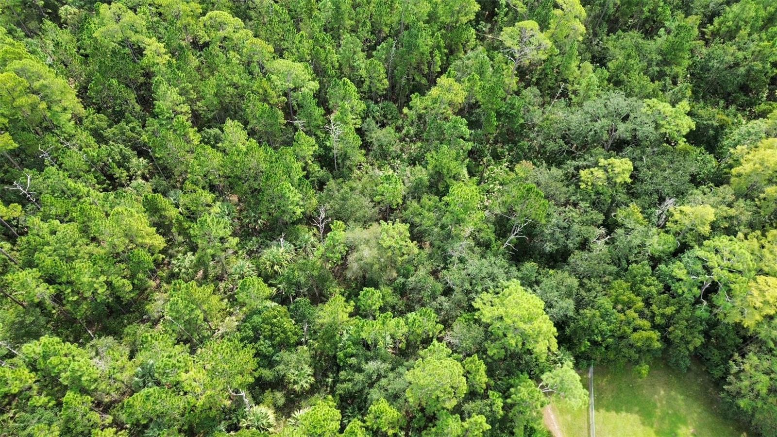 EUSTIS PINE MEADOWS COUNTRY CLUB ESTATES - Land