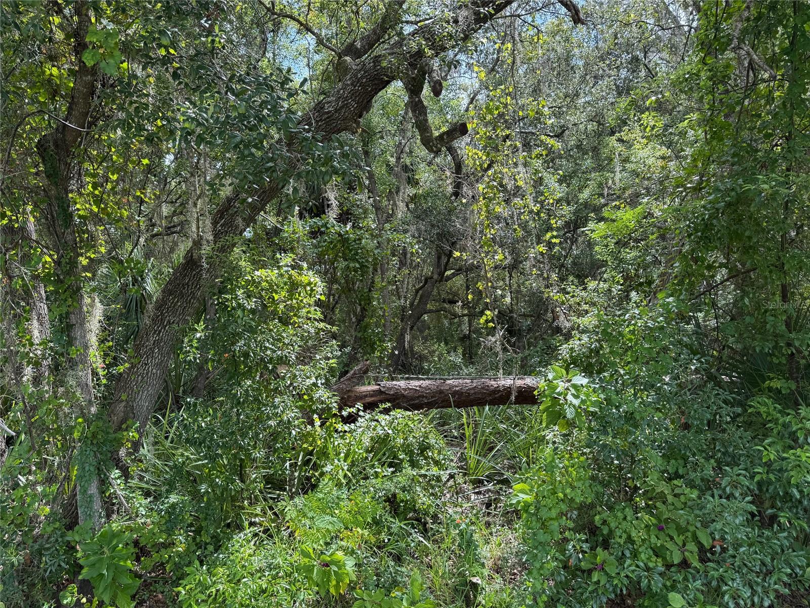 EUSTIS PINE MEADOWS COUNTRY CLUB ESTATES - Land