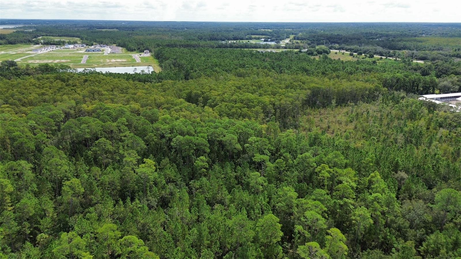 EUSTIS PINE MEADOWS COUNTRY CLUB ESTATES - Land