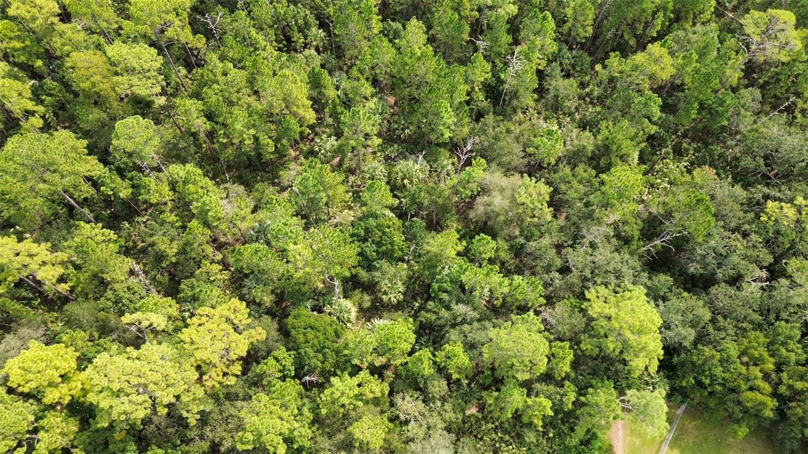 EUSTIS PINE MEADOWS COUNTRY CLUB ESTATES - Land