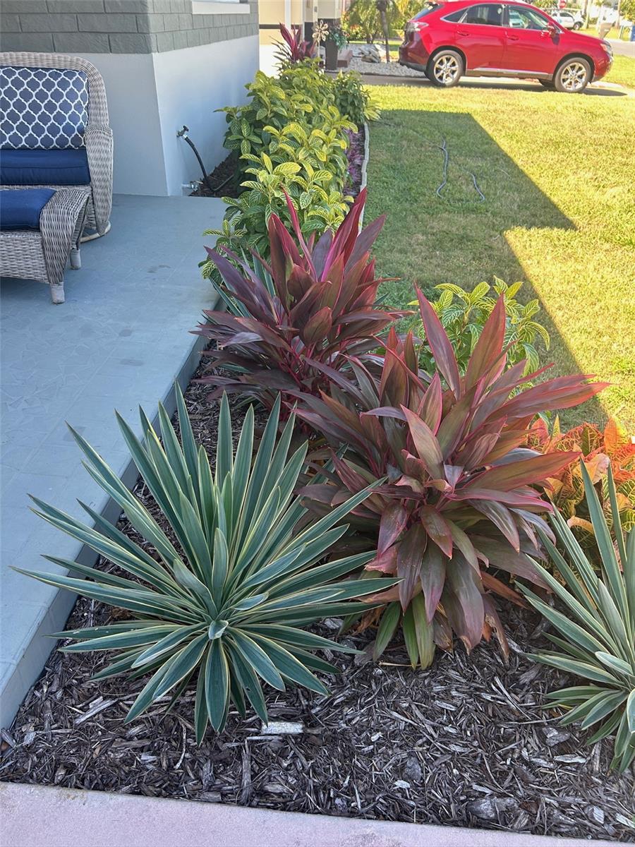 BELLEVUE ESTATES - Residential