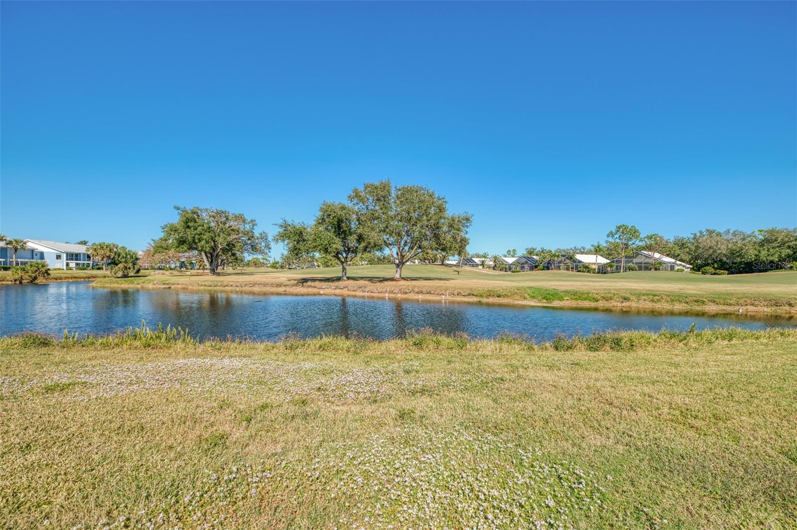 AUGUSTA VILLAS AT PLAN - Residential