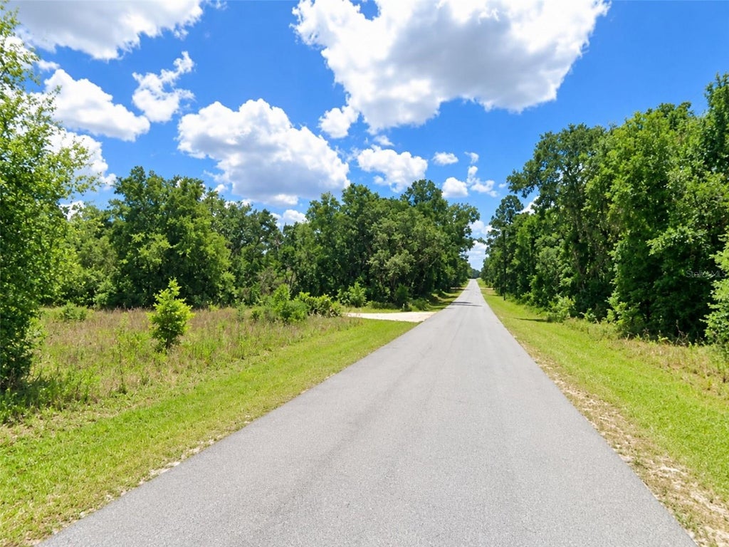 Photo of Shasta Street, Webster, FL 33597 (MLS # S5157299)