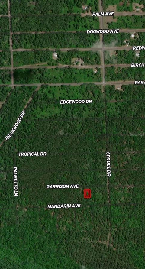 131 GARRISON AVENUE GEORGETOWN FL 32139