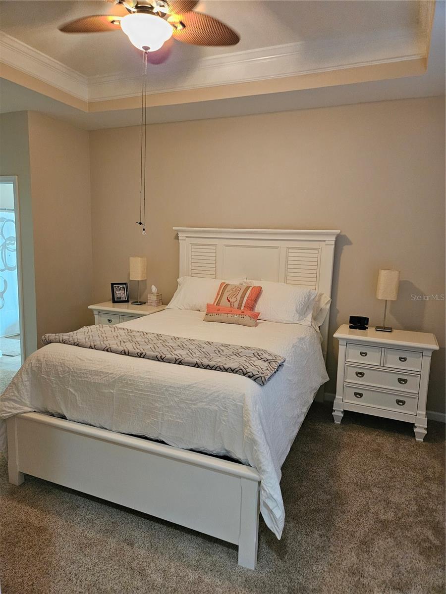 THE PALMS OF CORTEZ - Residential