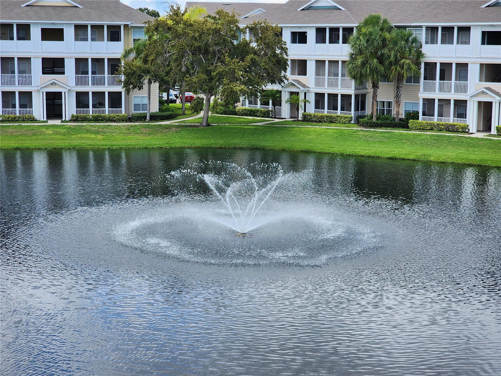 THE PALMS OF CORTEZ - Residential