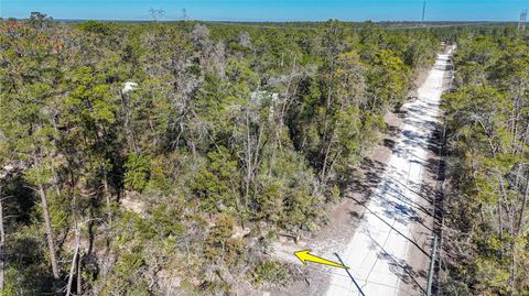 6646 N PERCALE TERRACE DUNNELLON FL 34433