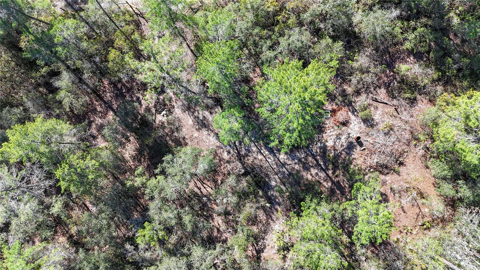 QUINBY COOK UNREC SUB - Land