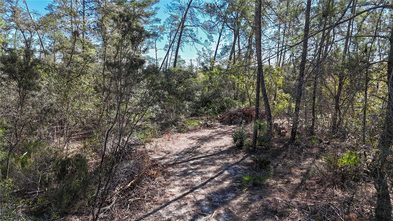 QUINBY COOK UNREC SUB - Land