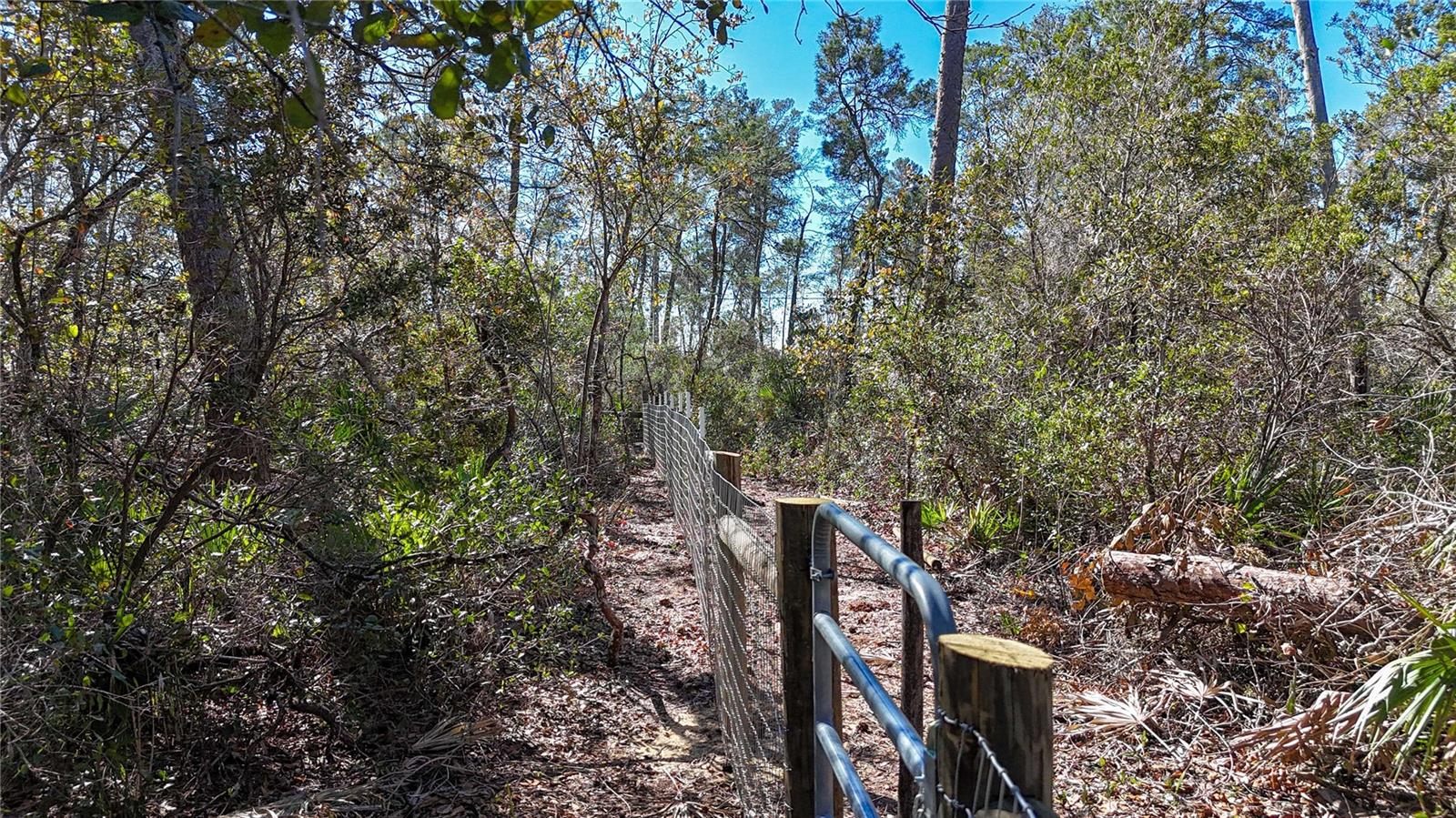 QUINBY COOK UNREC SUB - Land