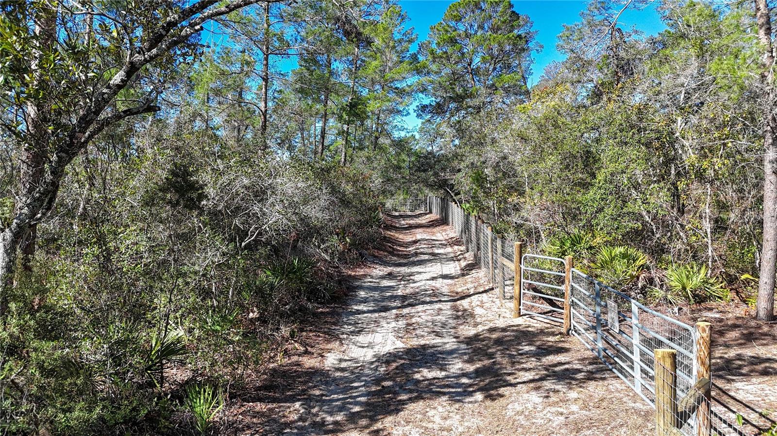 6646 N PERCALE TERRACE