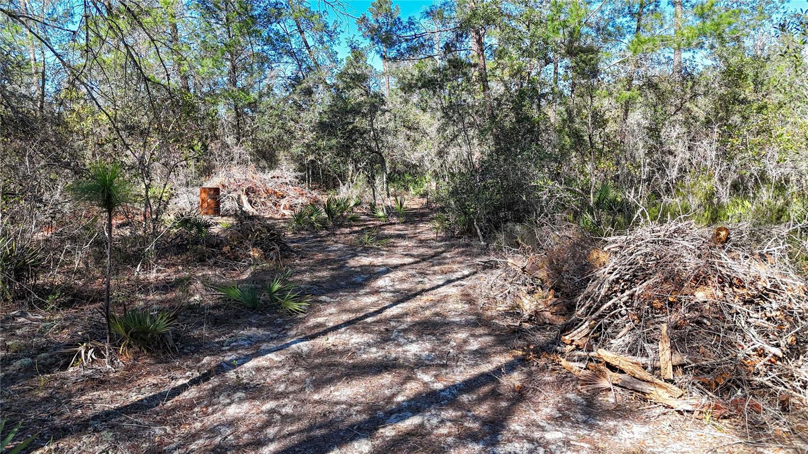 QUINBY COOK UNREC SUB - Land