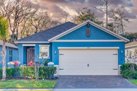 354 CARYOTA COURT NEW SMYRNA BEACH FL 32168