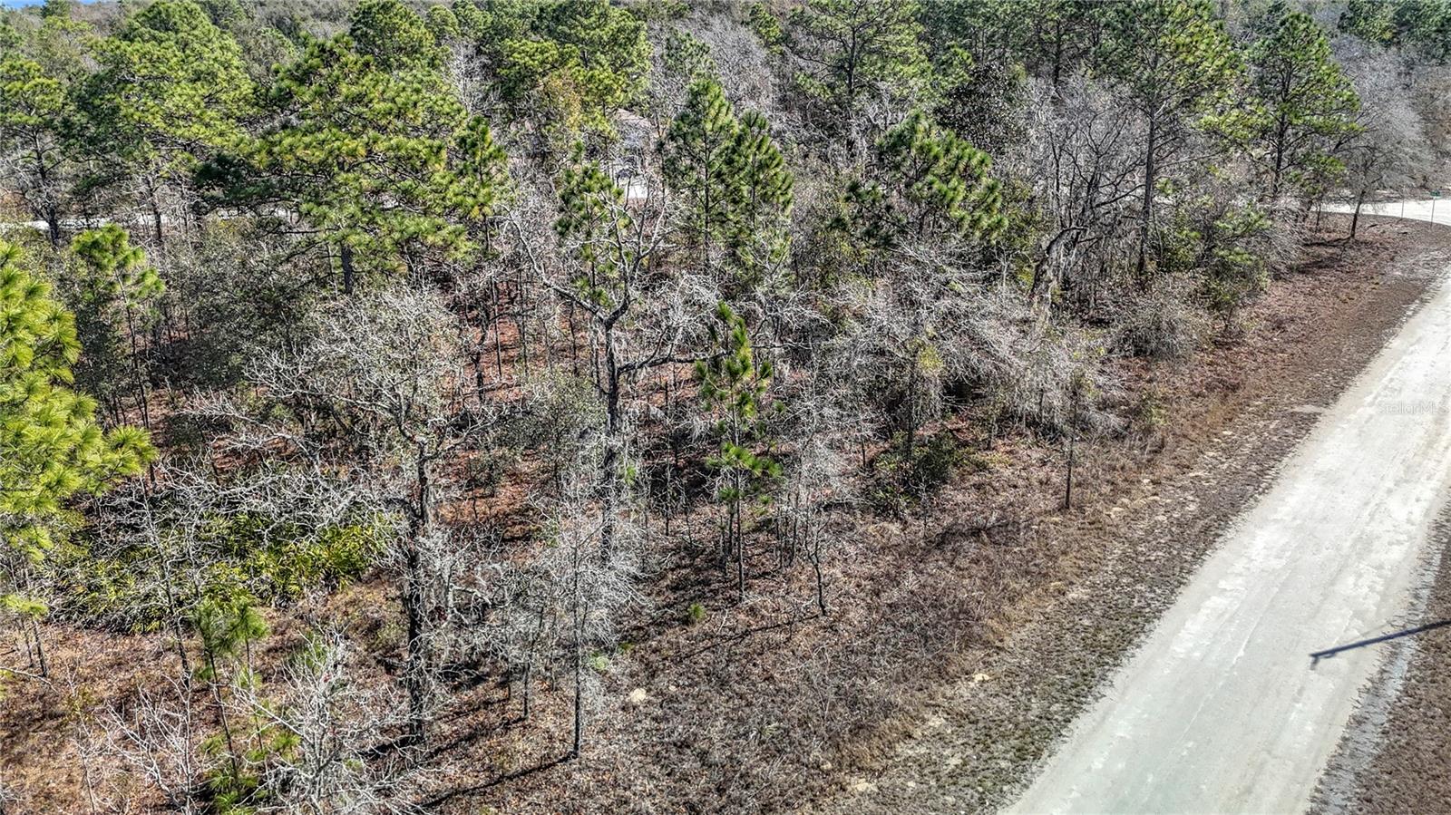 16070 SHELDRAKE LOOP