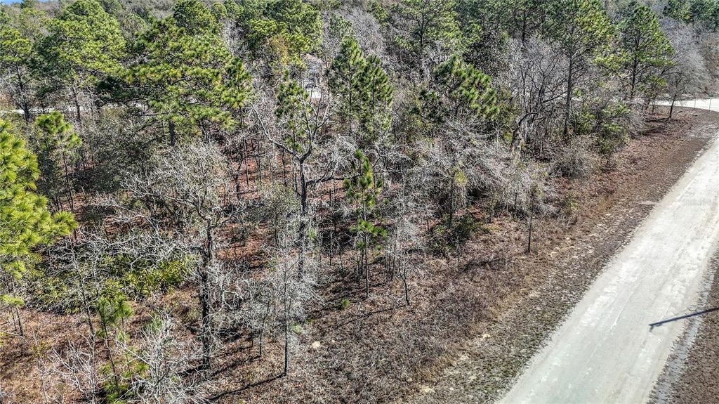 Photo of 16070 Sheldrake Loop, Weeki Wachee, FL 34614 (MLS # TB8473517)