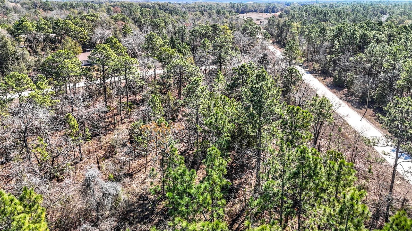 ROYAL HIGHLANDS - Land