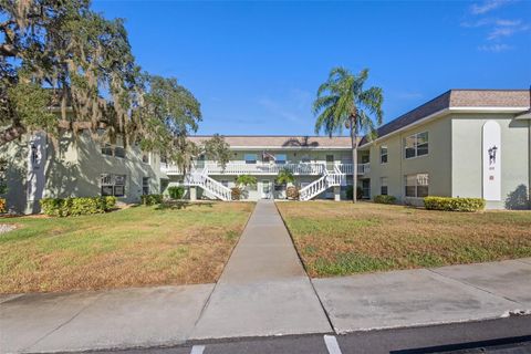 A home in TARPON SPRINGS