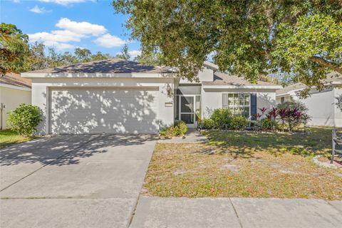 A home in BROOKSVILLE