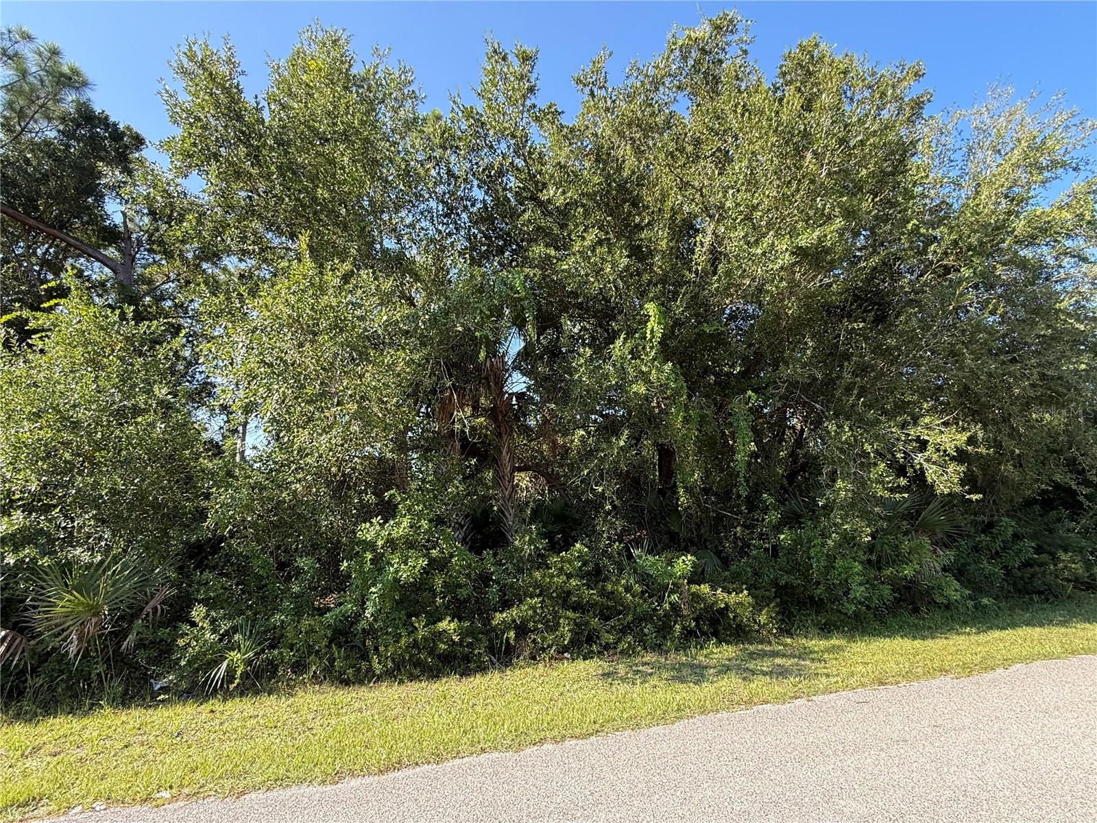 Build a lot centrally located in Port Charlotte. Close to shopping, restaurants in Gulf beaches. We are ready for you to build your Florida dream home.